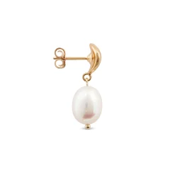 Cultured Freshwater Pearl Drop Earrings, 14K Yellow Gold New