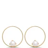 Cultured Pear Open Center Earrings, 14K Yellow Gold Outlet