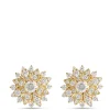 Floral Diamond Studs, 14K Yellow Gold Outlet