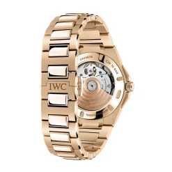IWC Ingenieur Automatic Gold Dial Watch, 35.1mm Hot