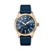 IWC Pilot's Mark XX Le Petit Prince Blue Dial Watch, 40mm Sale
