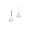 Mikimoto South Sea Cultured Pearl Earrings in 18K Yellow Gold Best
