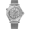 Omega Seamaster Diver 300M Gray Dial Watch, 42mm Outlet