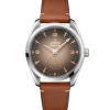 Omega Seamaster Railmaster Brown Dial Watch, 38mm Outlet