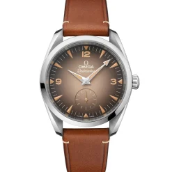 Omega Seamaster Railmaster Brown Dial Watch, 38mm Outlet